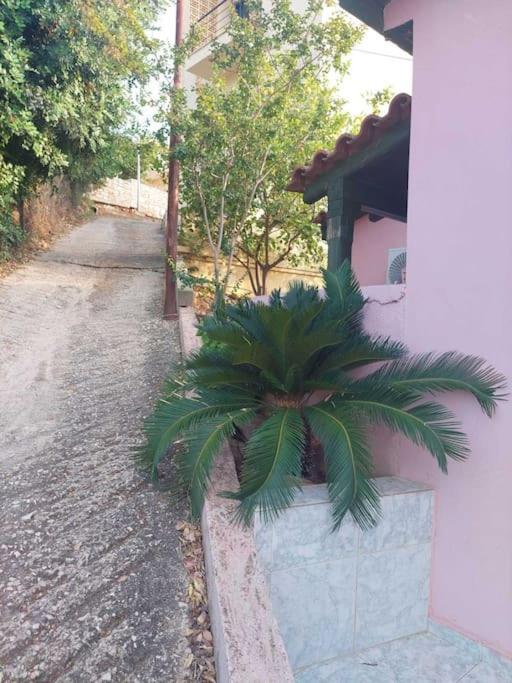 Βίλα Πασιθέα كيفيريون المظهر الخارجي الصورة